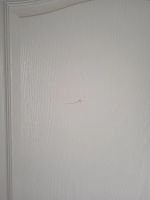 Лот: 17661441. Фото: 3. Межкомнатные двери. Строительство и ремонт