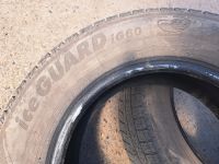 Лот: 25330082. Фото: 5. 185/70/14 Yokohama Ice Guard IG60...