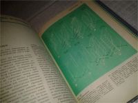 Лот: 6626293. Фото: 3. Современный усадебный дом, Виталий... Литература, книги