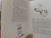 Лот: 16197454. Фото: 3. Книга кот по имени Боб подарок... Красноярск