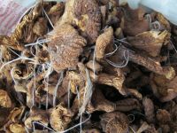 Лот: 10957974. Фото: 2. Опята сушёные (цена за 50г.). Продукты