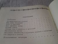 Лот: 5865492. Фото: 2. Пчелы и пасека. Опыт, советы... Дом, сад, досуг