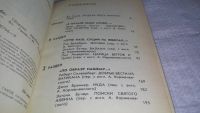 Лот: 7829740. Фото: 7. Другое небо. Сборник зарубежной...