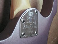Лот: 1922980. Фото: 3. Срочно washburn wr150. Музыкальные инструменты и оборудование