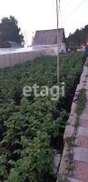 Лот: 25289736. Фото: 6. 2-комн. дача , садоводческое некоммерческое...