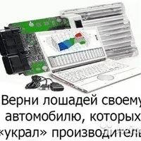 Лот: 11427250. Фото: 8. Ремонт Webasto Вебасто Гидроник...