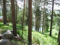 Лот: 3370518. Фото: 2. Шумиха, Продам участок 15 сот... Продажа