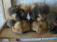 Лот: 477628. Фото: 2. Пинетки из норки. Одежда и аксессуары