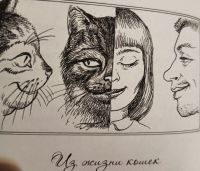 Лот: 17978065. Фото: 16. Осипова Наталья - Сказки для детей...