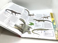 Лот: 25803722. Фото: 6. 📗 Джинни Джонсон. Динозавры...