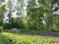Лот: 7256141. Фото: 5. Земельный участок в г. Зеленогорске