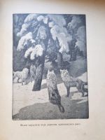 Лот: 14452769. Фото: 5. Книга 1909г. На крайнем севере...