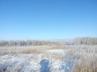 Лот: 10003472. Фото: 7. дачный участок