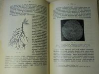 Лот: 17970076. Фото: 20. В.Палладин . Курс ботаники.* 1900...