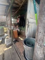 Лот: 25285852. Фото: 3. 1-комн. дача , СНТ Заря-С СНТ... Недвижимость