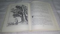 Лот: 11774472. Фото: 5. ок(4092339)Л. Воронкова. Собрание...