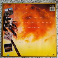 Лот: 20132217. Фото: 2. LP ● EDDY GRANT ● Going For Broke... Коллекционирование, моделизм