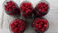 Лот: 11886765. Фото: 2. Малина (5 литров+ бесплатная доставка... Продукты