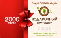 Лот: 13314937. Фото: 3. Подарочный сертификат на 3000... Сувениры, подарки