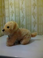 Лот: 11327136. Фото: 2. Игрушка мягкая"собачка"(обмен). Игрушки