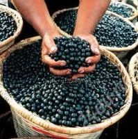 Лот: 821472. Фото: 3. Acai - тонизирующий коктейль с... Красноярск