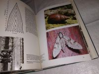Лот: 7823335. Фото: 14. ок....(2092312)Иллюстрированная...
