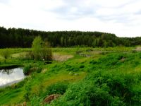 Лот: 2838382. Фото: 2. Усадьба с домом и баней в с.Знаменка... Продажа