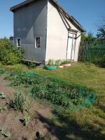 Лот: 13994850. Фото: 6. Дача