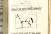 Лот: 20058171. Фото: 8. А.Бонсёр. Звезда Альбиона.* 1913...
