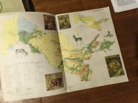 Лот: 25889915. Фото: 6. Атлас Узбекской ССР 1980 СССР