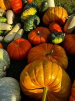 Лот: 10432985. Фото: 2. Тыква. Продукты