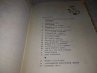 Лот: 19704691. Фото: 3. Пивоварова И. Рассказы Люси Синицыной... Литература, книги