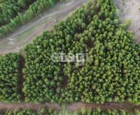 Лот: 25295123. Фото: 19. участок , СНТ Рось СНТ Рось, 57...