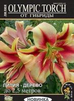 Лот: 11410195. Фото: 3. лилия ОТ огромная и красивая. Для дачи, дома, огорода, бани, парка