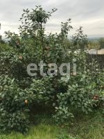 Лот: 25293246. Фото: 18. 3-комн. дом , деревня Барабаново...