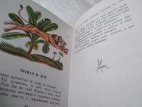 Лот: 19383525. Фото: 10. Толстой Л.Н. Два товарища. Рисунки...
