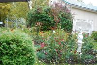 Лот: 5405596. Фото: 11. курс Ландшафтный дизайн (Intensive...