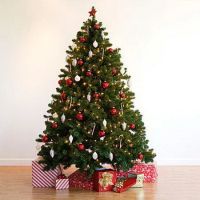 Лот: 6681013. Фото: 3. Подставка для крупной Ёлки!🎄. Сувениры, подарки