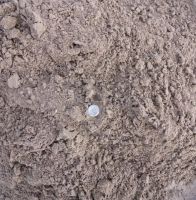 Лот: 16753958. Фото: 2. Песок природный мелкий (Песчанка... Строительные материалы