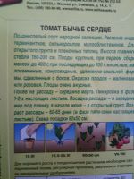 Лот: 5387459. Фото: 2. Рассада помидор Бычье сердце. Семена, рассада, садовые растения