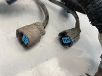 Лот: 22459116. Фото: 4. проводка двс Honda Civic Ferio... Красноярск