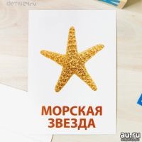 Лот: 11548077. Фото: 3. Карточки по методике Домана "Морские... Дети растут