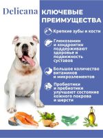 Лот: 19040055. Фото: 2. Деликана (Delicana) сухой корм... Животные и уход