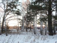 Лот: 4922265. Фото: 6. Продам участок ст. Минино