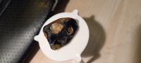 Лот: 25510476. Фото: 3. Камень куриный бог Черный Аскет. Красноярск