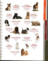 Лот: 17534401. Фото: 3. "От мышки до кошки" Волкова Ольга... Литература, книги