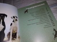 Лот: 12578480. Фото: 4. Почему собаки лучше кошек, Бредли... Красноярск
