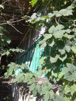 Лот: 10875645. Фото: 5. Дача Петряшино 10 соток с домом...