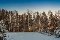 Лот: 2782166. Фото: 14. Последний участок с лесом в сосновом...