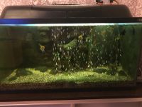 Лот: 15224680. Фото: 2. Аквариум. Аквариумистика